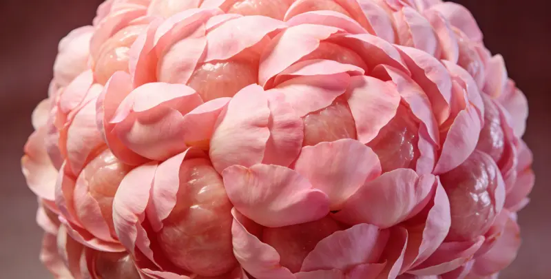 眉山BRCA1/2乳腺癌卵巢癌基因检测图片1